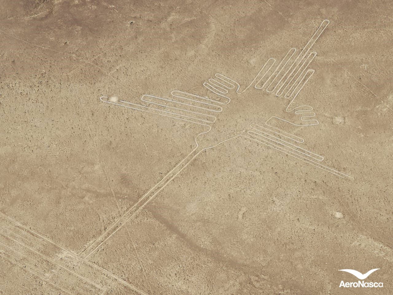 Names of the Nazca Lines Imagenes de las Lineas de Nazca: Colibri
