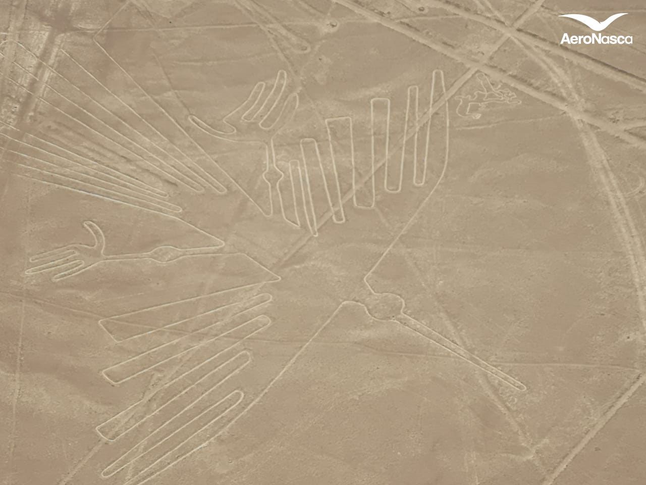 Names of the Nazca Lines Imagenes de las Lineas de Nazca: Condor