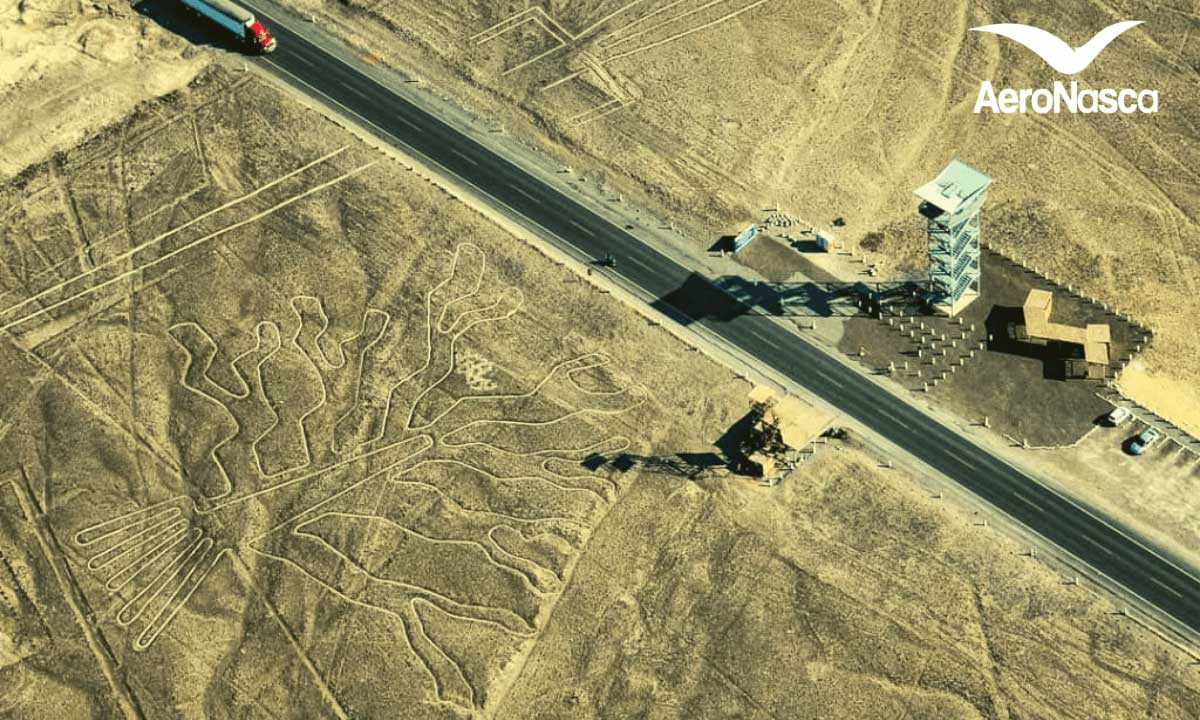 Imagenes Y Dibujos De Las Lineas De Nazca Peru