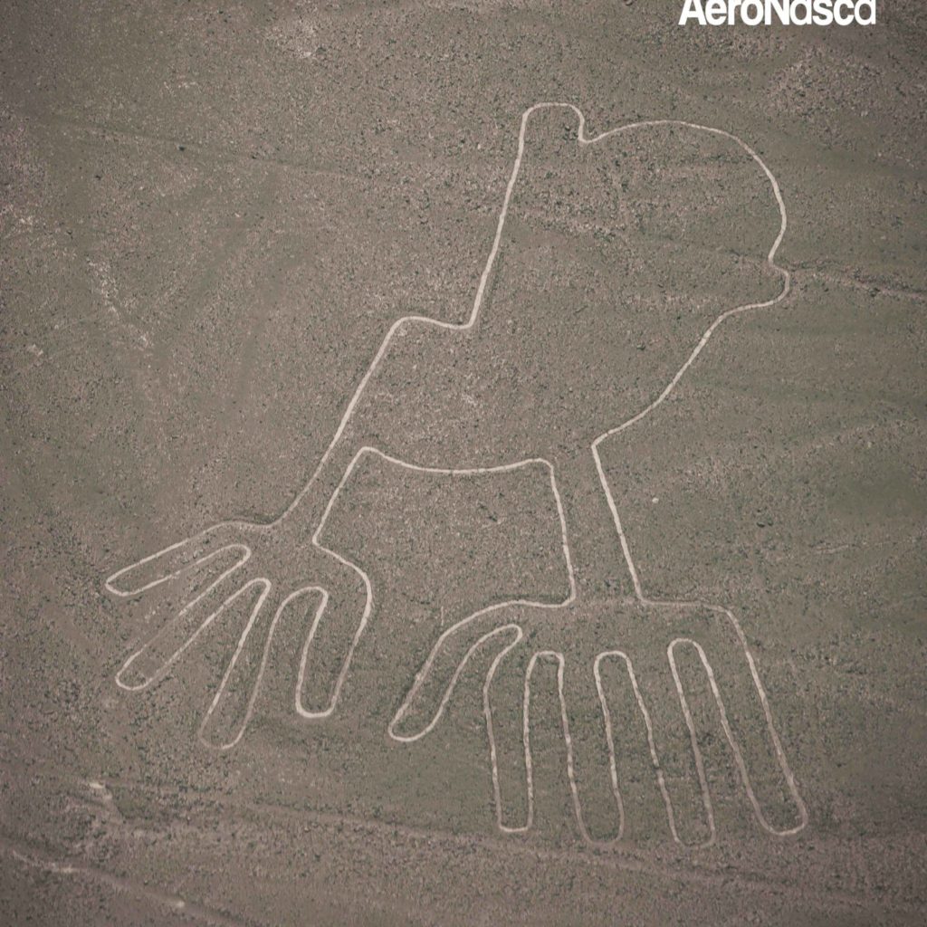 Impresionantes Fotos de las Lineas de Nazca Impresionantes Fotos de las Lineas de Nazca
