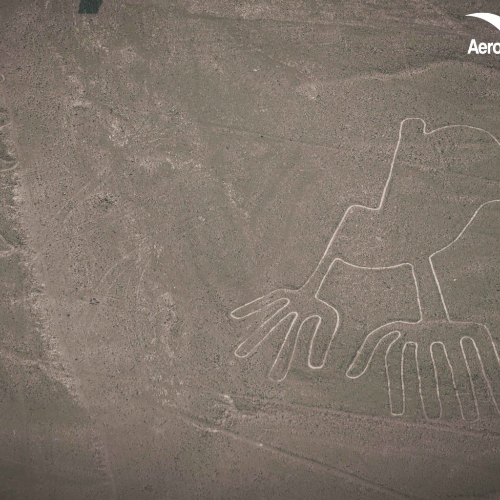 Impresionantes Fotos de las Lineas de Nazca Impresionantes Fotos de las Lineas de Nazca
