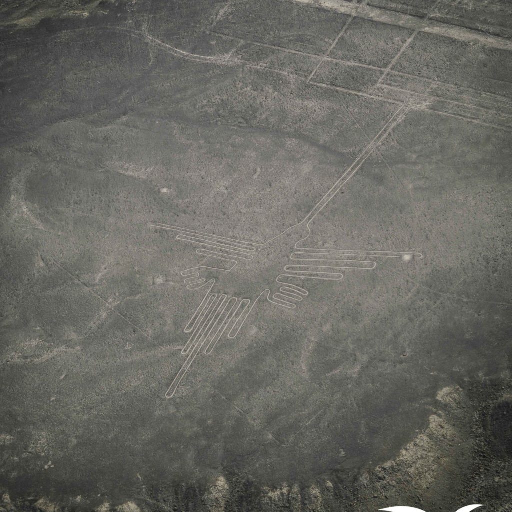 Impresionantes Fotos de las Lineas de Nazca Impresionantes Fotos de las Lineas de Nazca