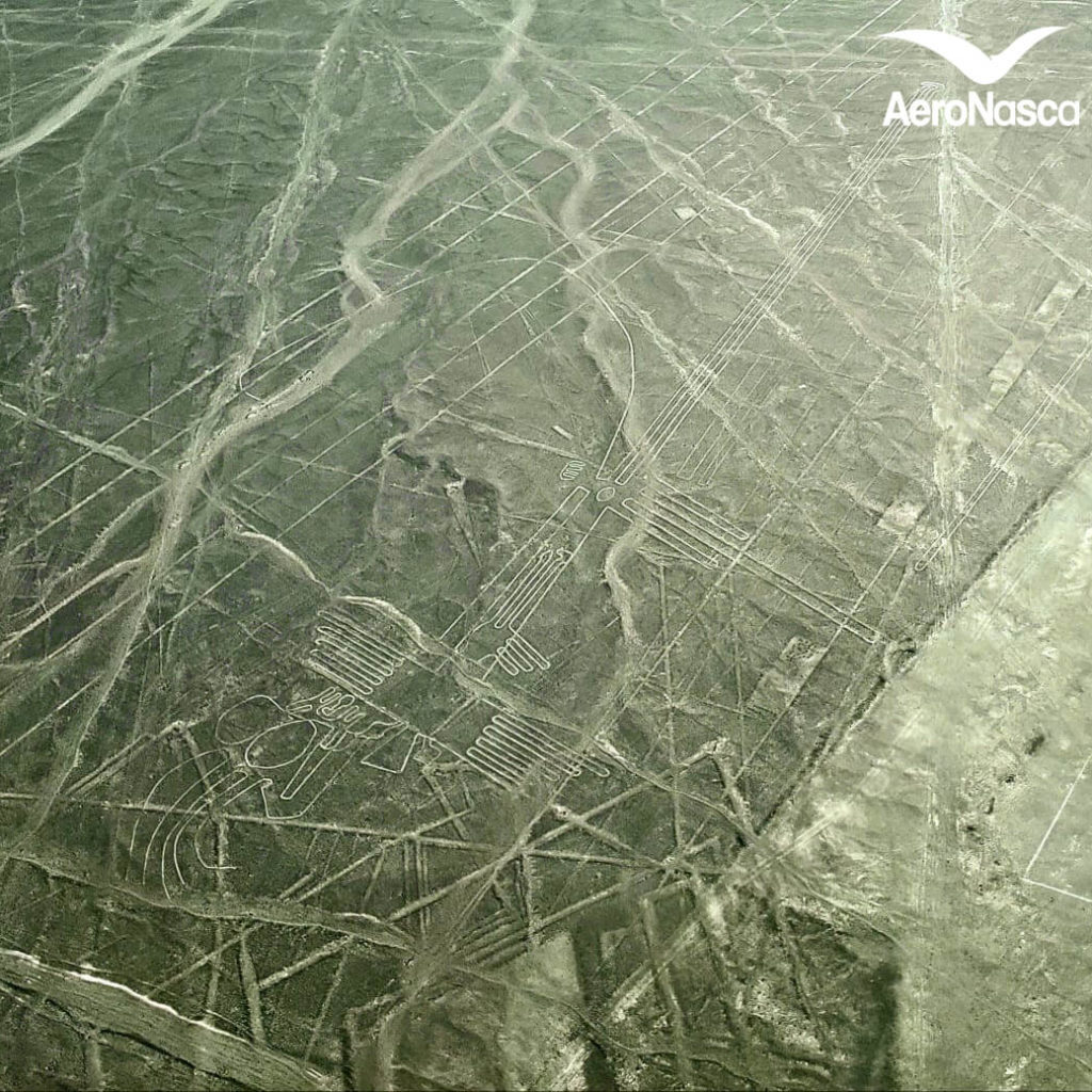 Impresionantes Fotos de las Lineas de Nazca Impresionantes Fotos de las Lineas de Nazca