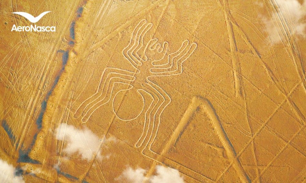 Sobrevuelos a las Líneas de Nazca Sobrevuelo a las Lineas de Nazca desde Paracas