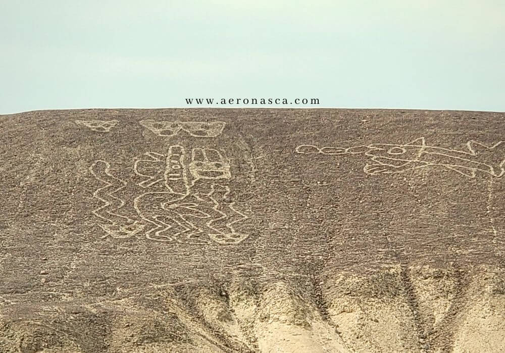 Palpa Lines Peru 🥇 Lineas de Palpa - Ballena