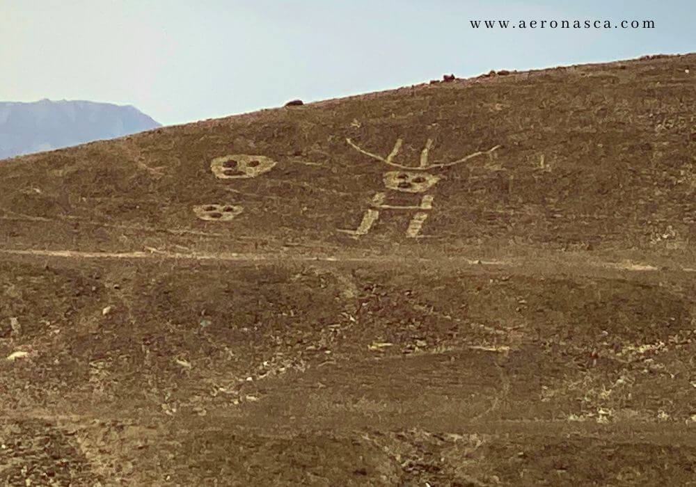 Palpa Lines Peru 🥇 Lineas de Palpa - Charro