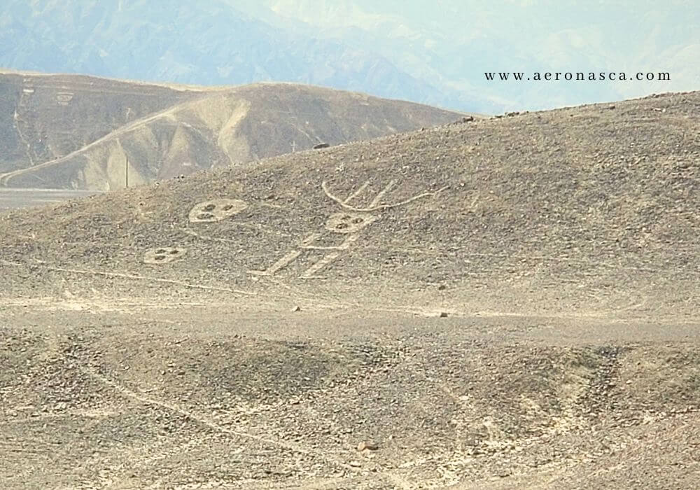 Palpa Lines Peru 🥇 Lineas de Palpa - El Charro