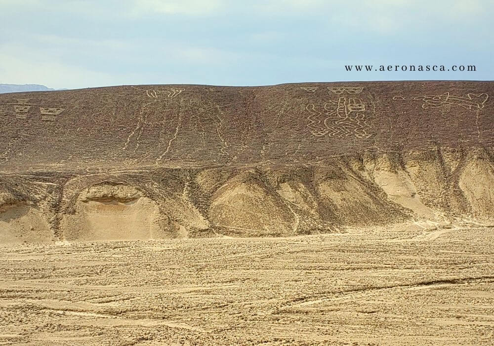 Palpa Lines Peru 🥇 Lineas de Palpa - Fertilidad