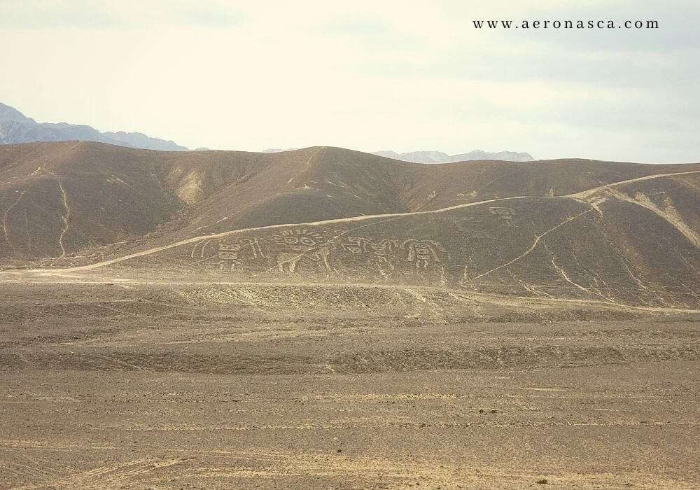 Palpa Lines Peru 🥇 Lineas de Palpa - La Familia