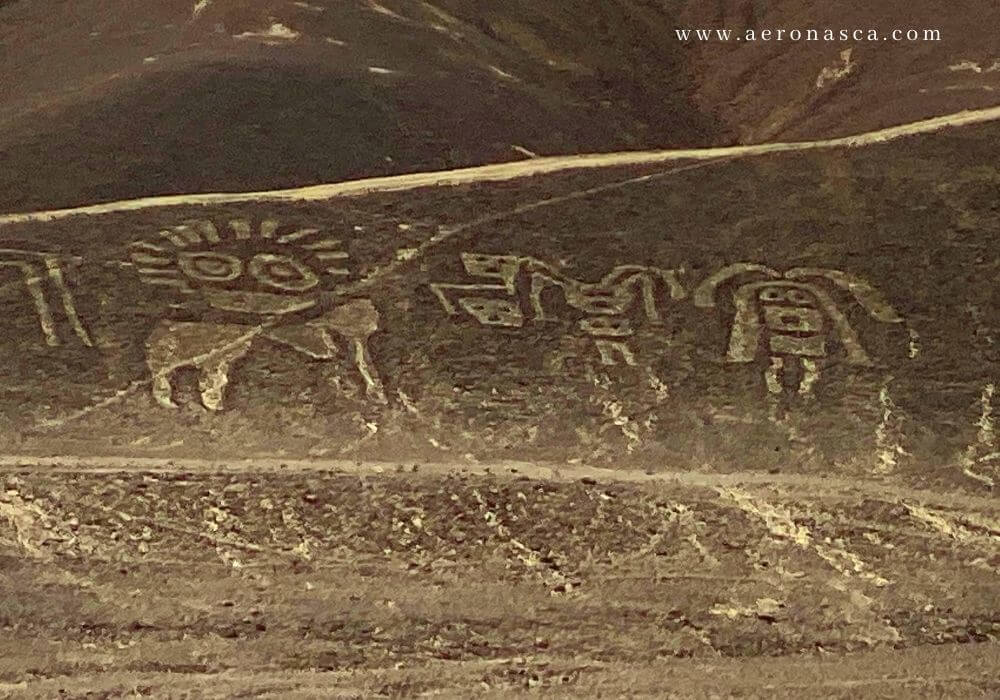 Palpa Lines Peru 🥇 Lineas de Palpa - La Gran Familia