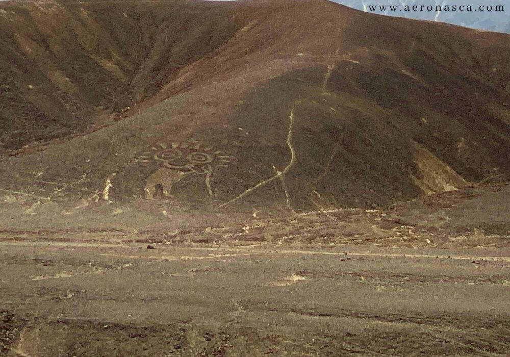 Palpa Lines Peru 🥇 Lineas de Palpa - Tumi