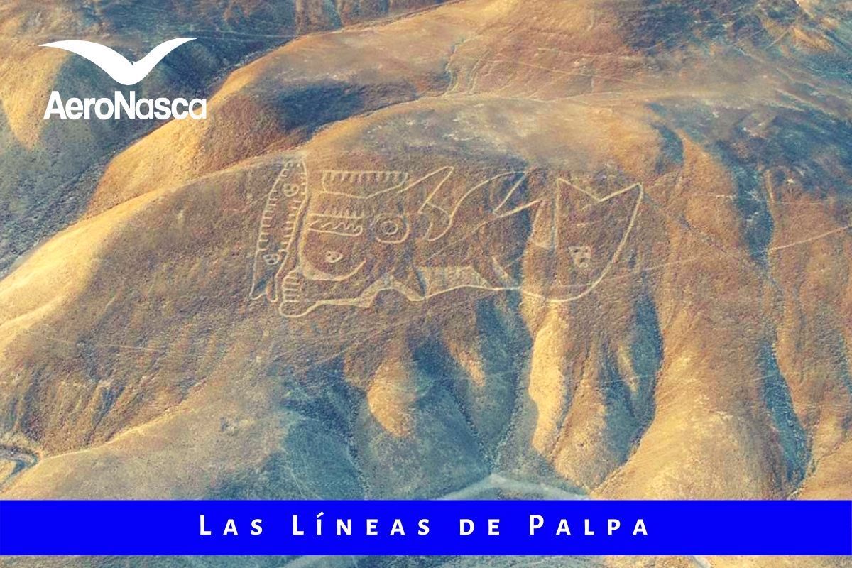 Líneas De Palpa