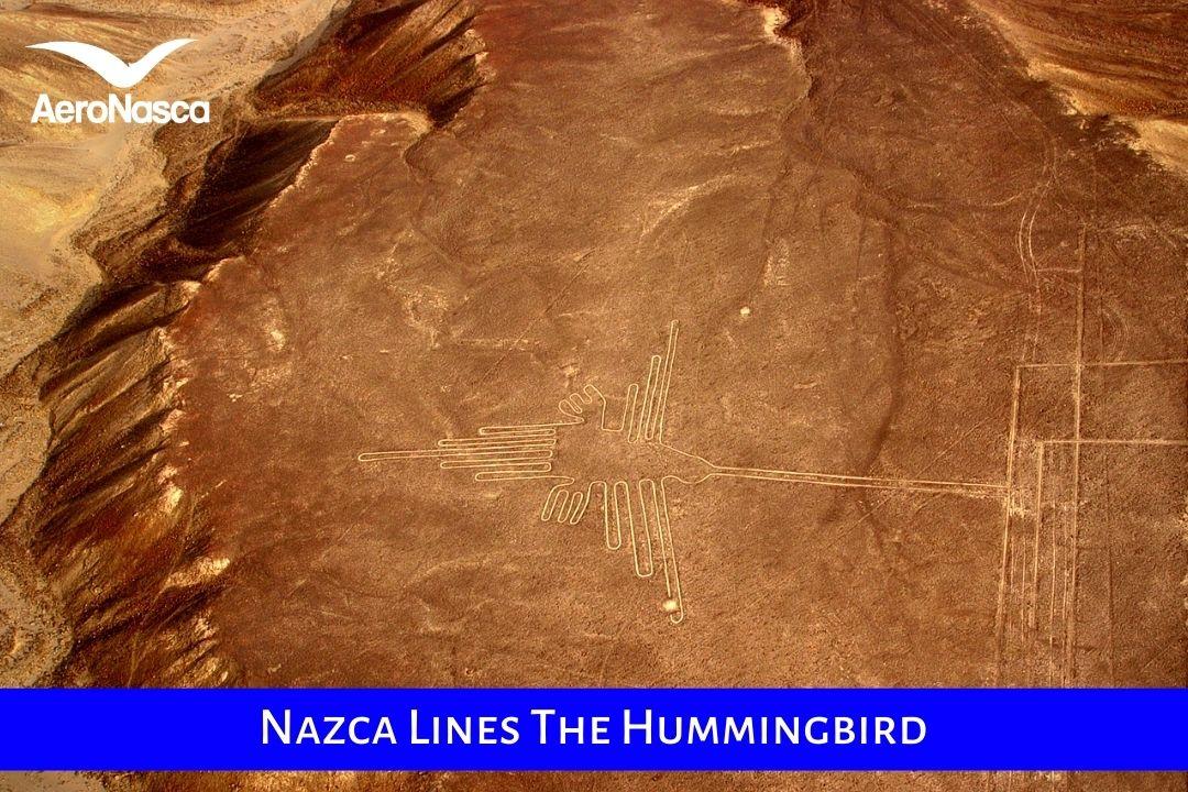 Nazca Lines The Hummingbird