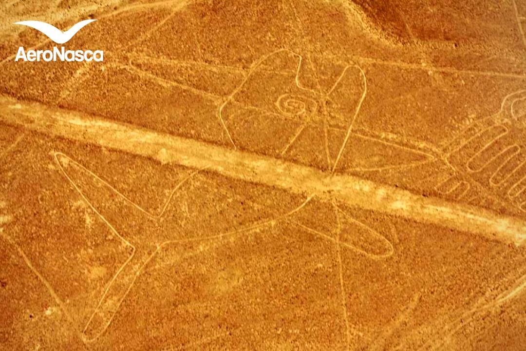 Names of the Nazca Lines Ballena de las Líneas de Nazca