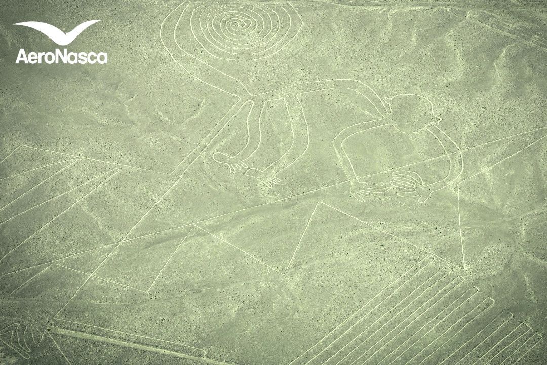 Names of the Nazca Lines El Mono de las Lineas de Nazca