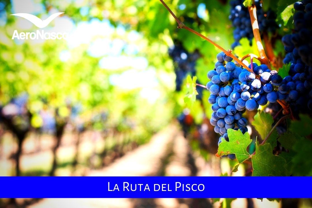 La Ruta Del Pisco