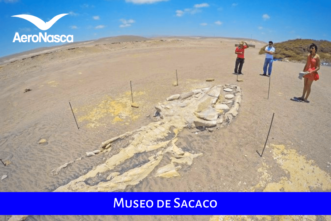 Museo De Sacaco