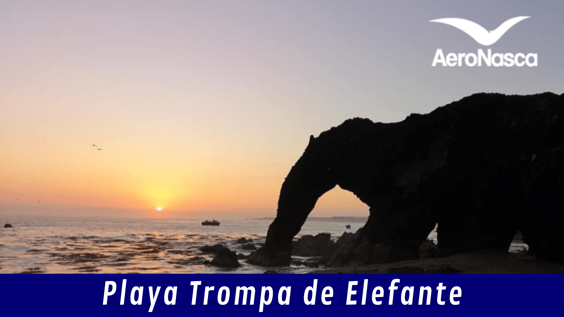 Playa Trompa De Elefante